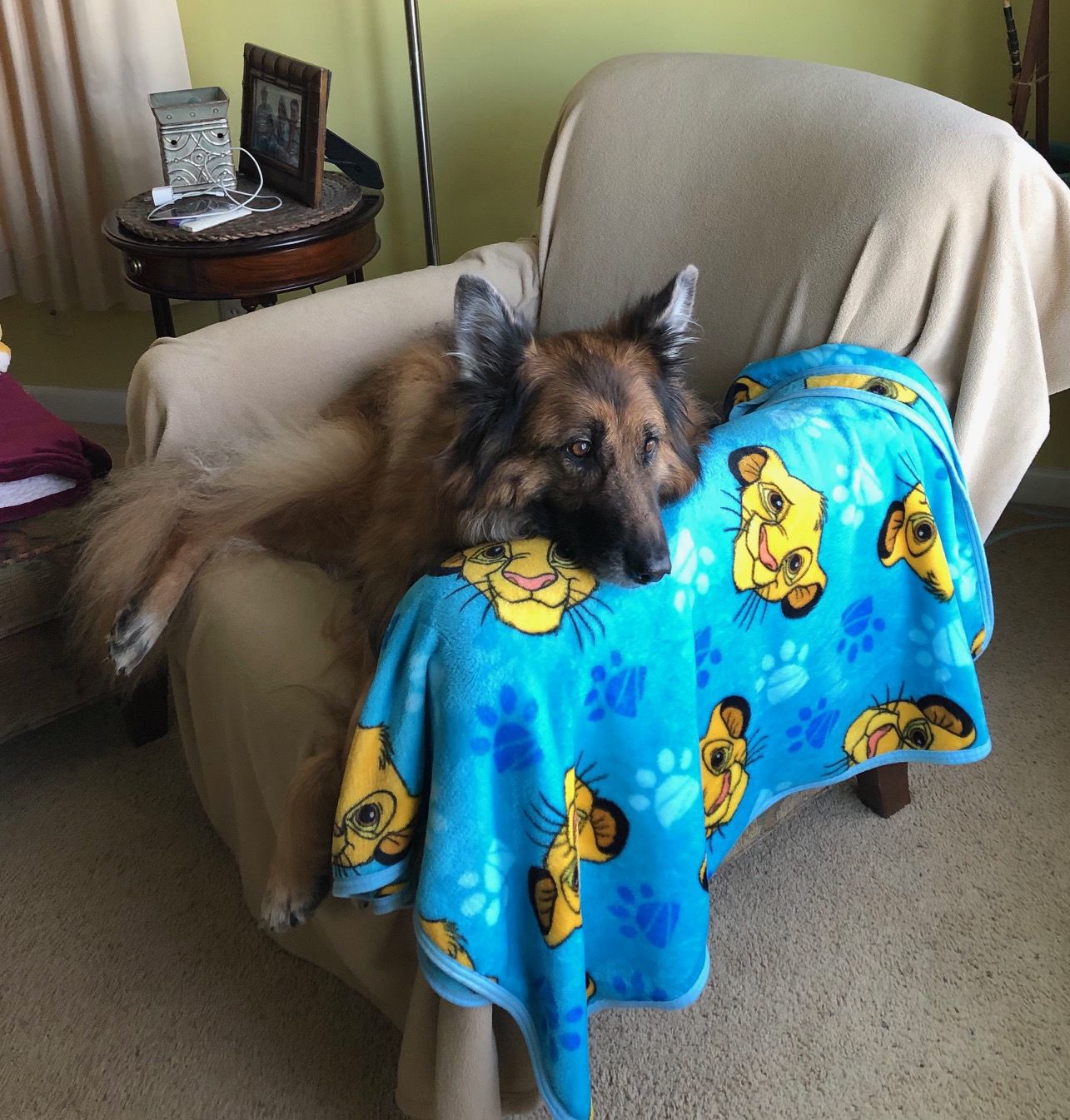 Nala